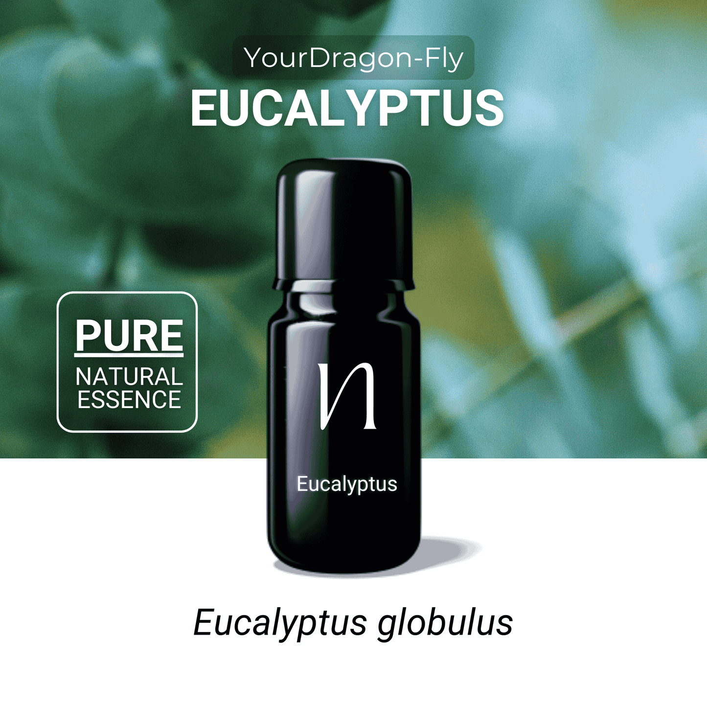 Eucalyptus Essential Oil