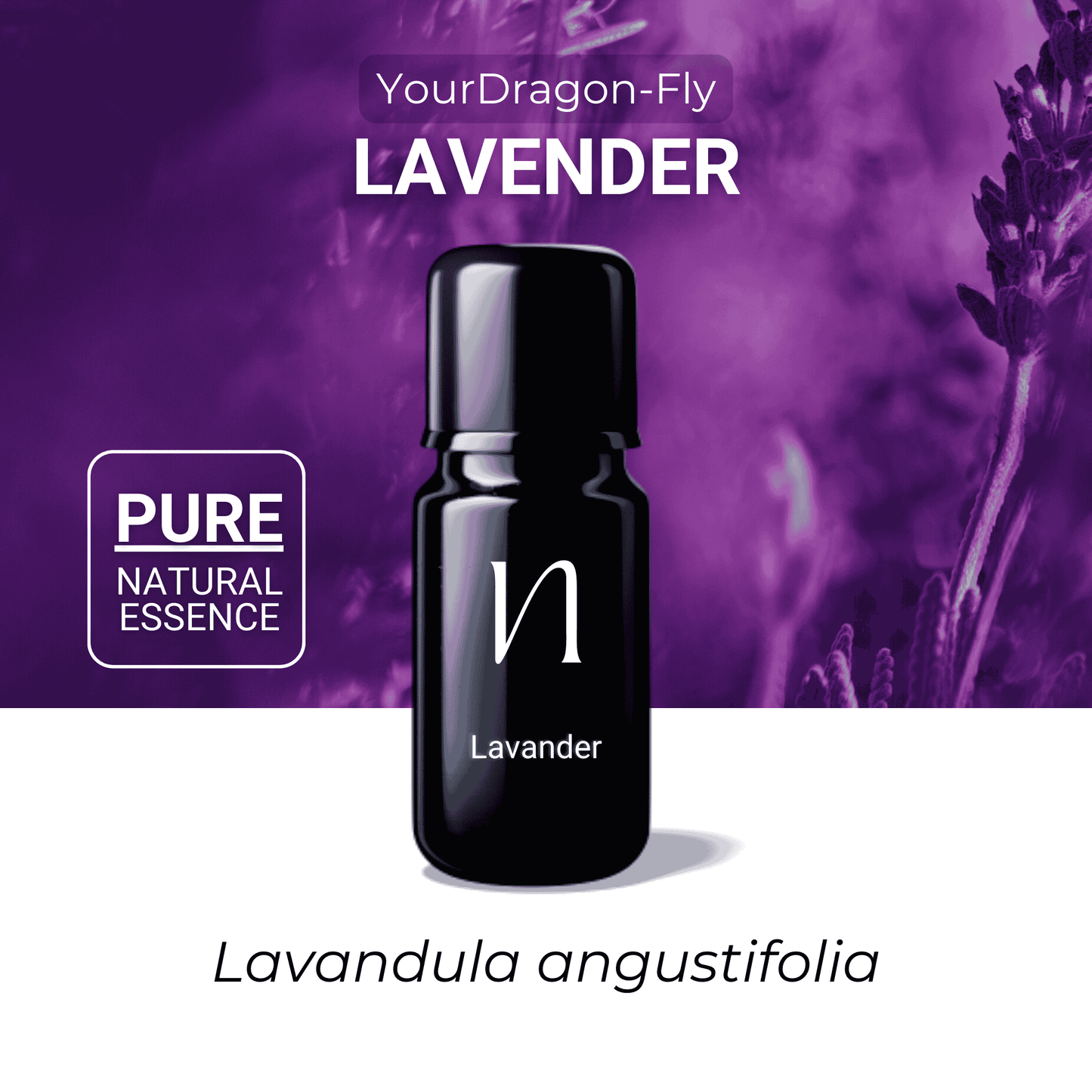 Lavender Essential Oil