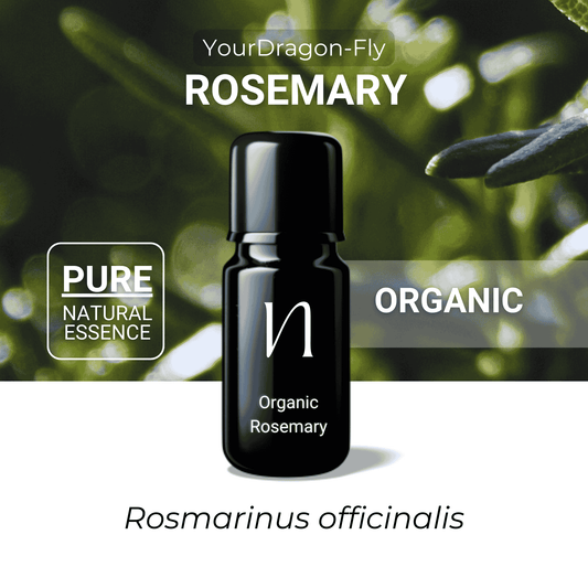 W Organic Rosemary Essential Oil